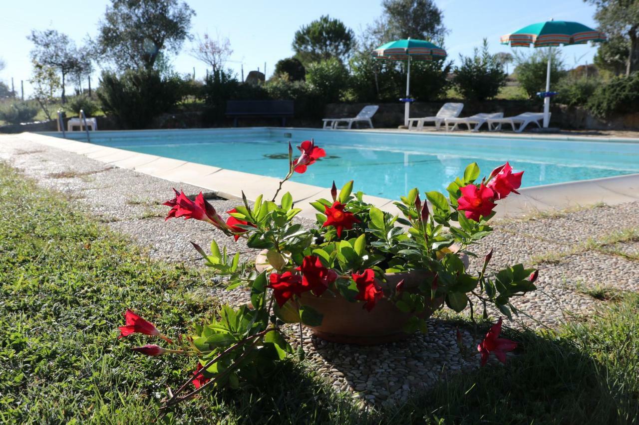 Agriturismo Tinti Montiano  Zewnętrze zdjęcie